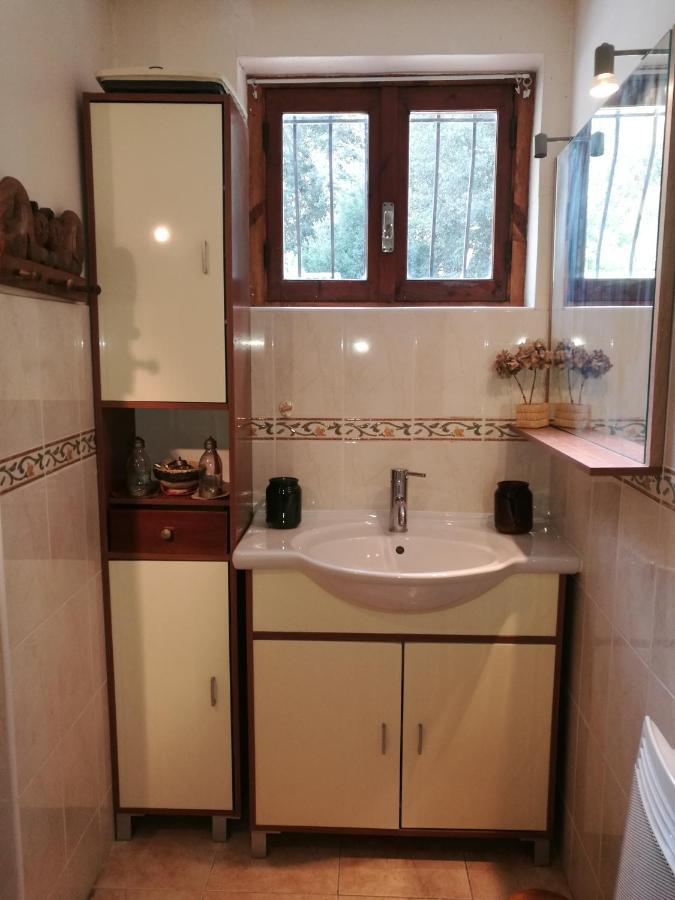 Joli Appartement Dans Villa Entre Nice Et L'Arriere Pays Castagniers Exterior photo